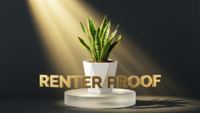 Best Indoor Plants for Renters 7 Low Maintenance Survivors