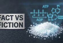 Creatine Benefits, Side Effects & Myths Debunked The Ultimate Safety Guide